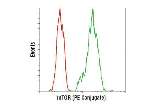 mTOR (7C10) Rabbit mAb (PE Conjugate)