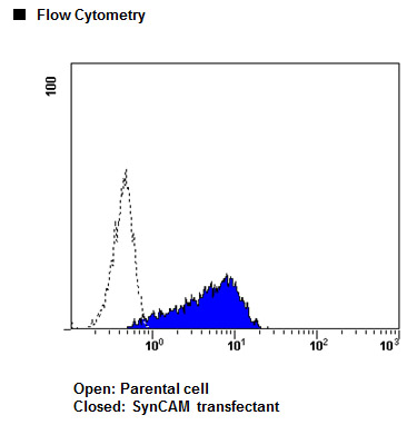 Anti-SynCAM (TSLC1/CADM1) mAb-Alexa Fluor 647