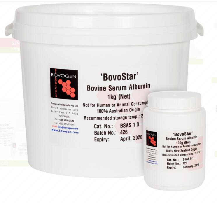 BSA,牛血清白蛋白