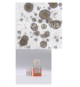 Cervical cancer Organoid Kit宫颈癌