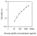 Mouse IgG2b ELISA